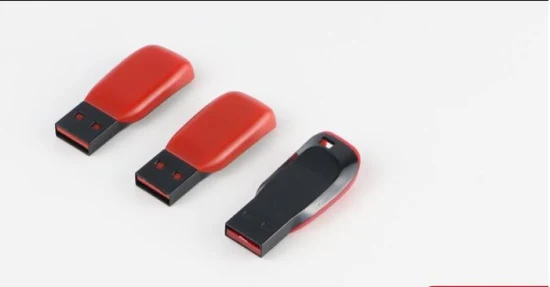 Chiavetta USB personalizzata in vendita calda con USB 2.0/USB3.0 da 16 GB/32 GB/64 GB