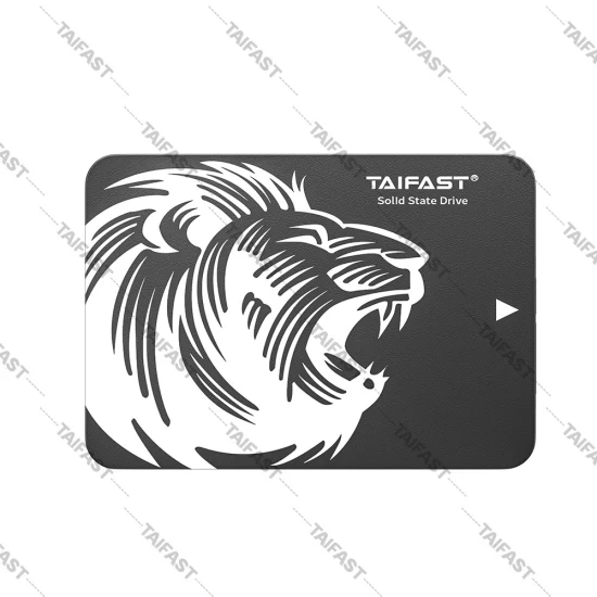 Taifast Hotsale SSD portatile 120 GB 240 GB 480 GB M. 2 Ngff Unità a stato solido per PC portatile Sconto del 5%